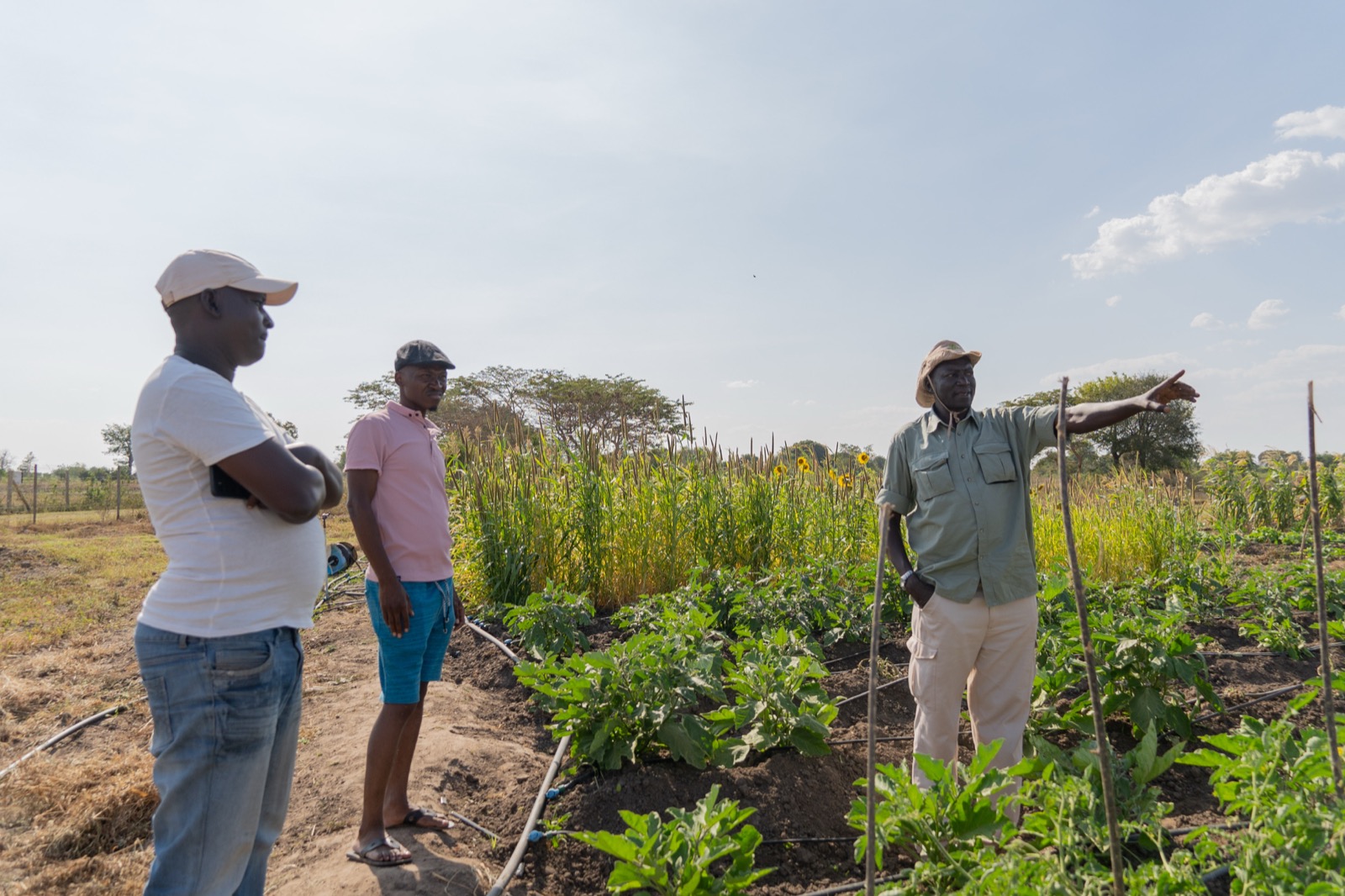 Farm tour with visitors learning about crop production at Awoja